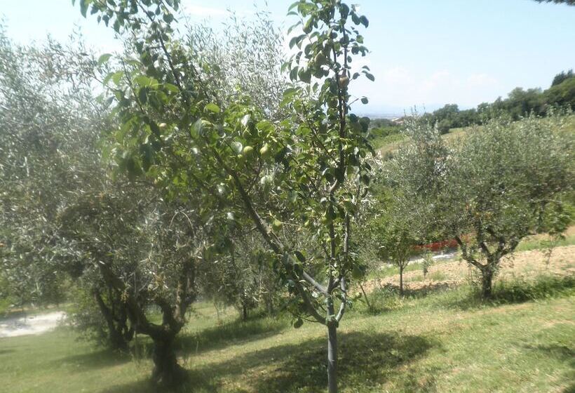 B&b Severini