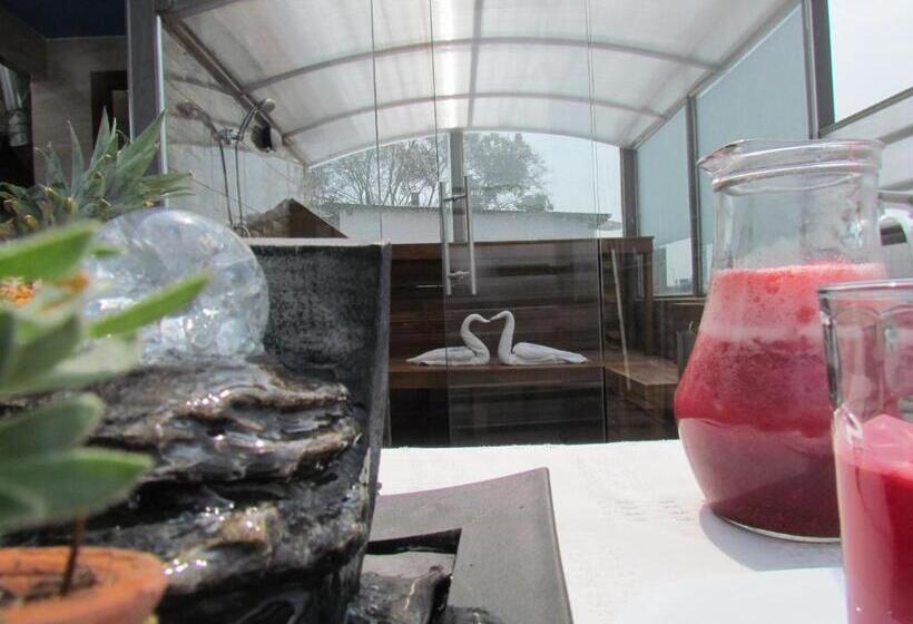 هتل Apartasuite Normandia