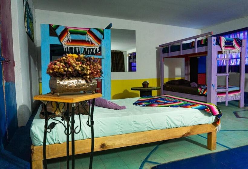 هتل Hostal Chesal