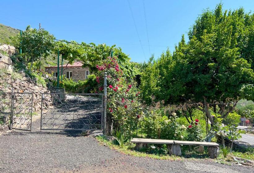 پانسیون Igor Bed And Breakfast
