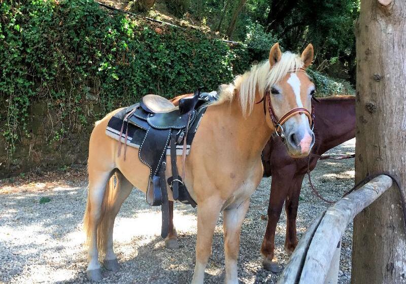 هتل Villa Musolino Country Resort