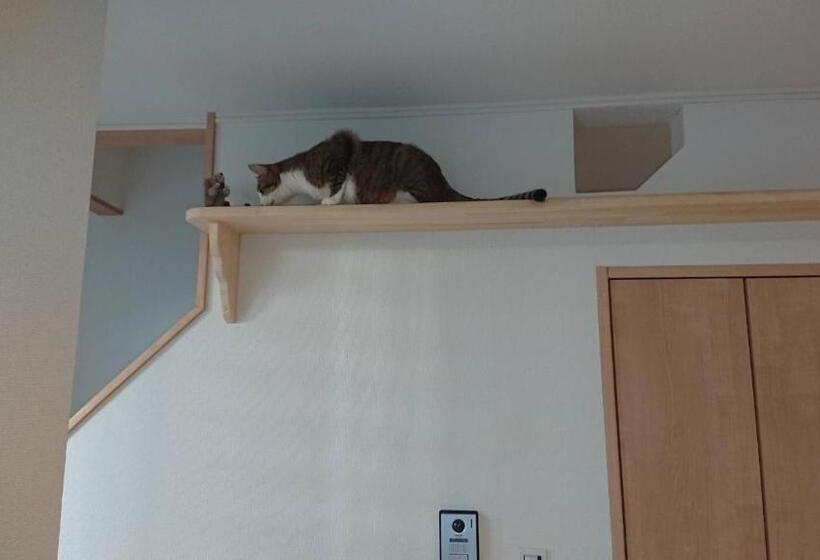 膳宿费 Guesthouse Gifu Suai