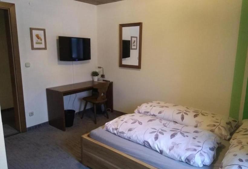 ユースホステル Gasthaus Schachinger