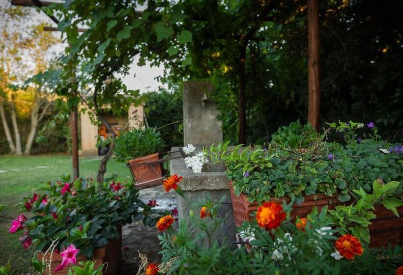 住宿加早餐  Agriturismo Antica Pinciana