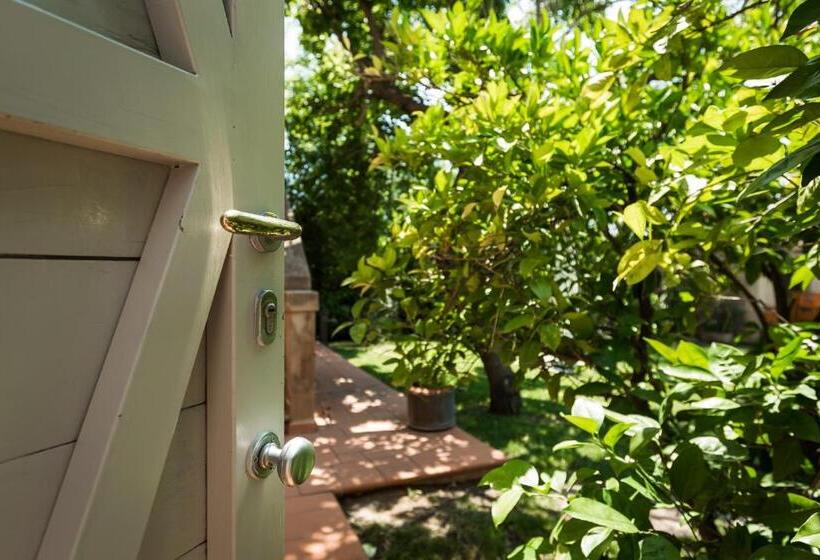 住宿加早餐  Agriturismo Antica Pinciana