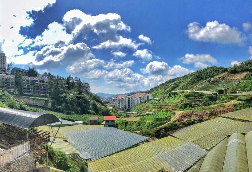 هتل کپسول Kea Garden Mini Chalet   Hostel