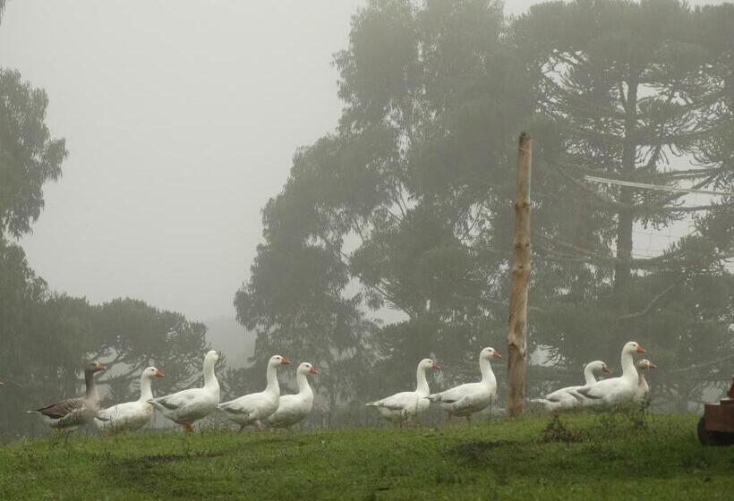 ユースホステル Pousada Recanto Dos Pôneis Rio Rufino Urubici