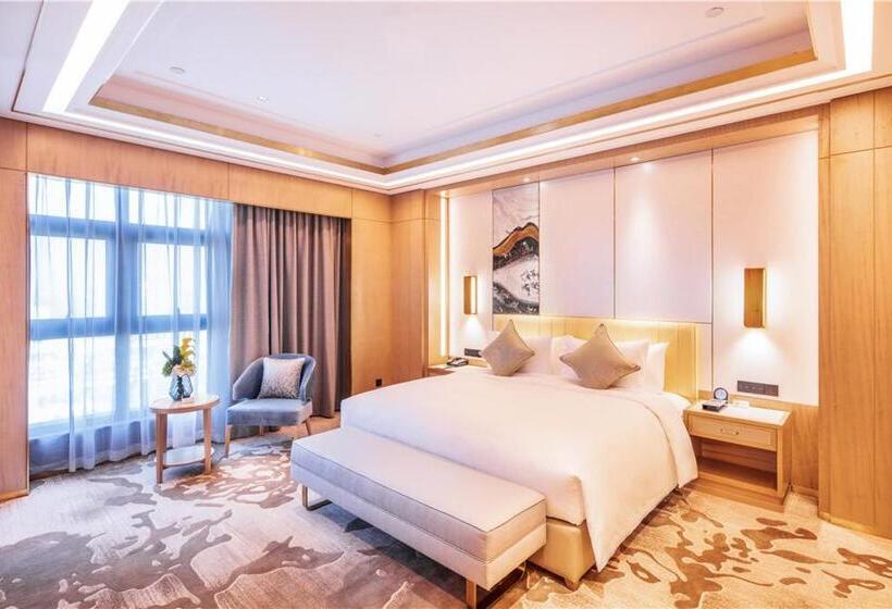 Отель Howard Johnson New District Plaza Ziyang