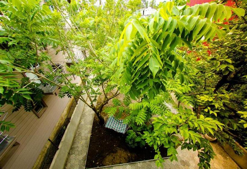 تختخواب و صبحانه Gori