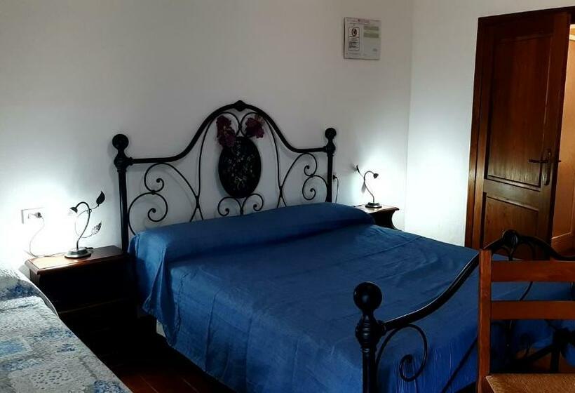 فندق Agriturismo Uliveto Gretacci