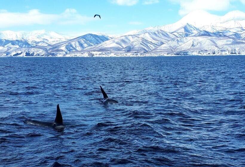 膳宿费 Shiretokoserai