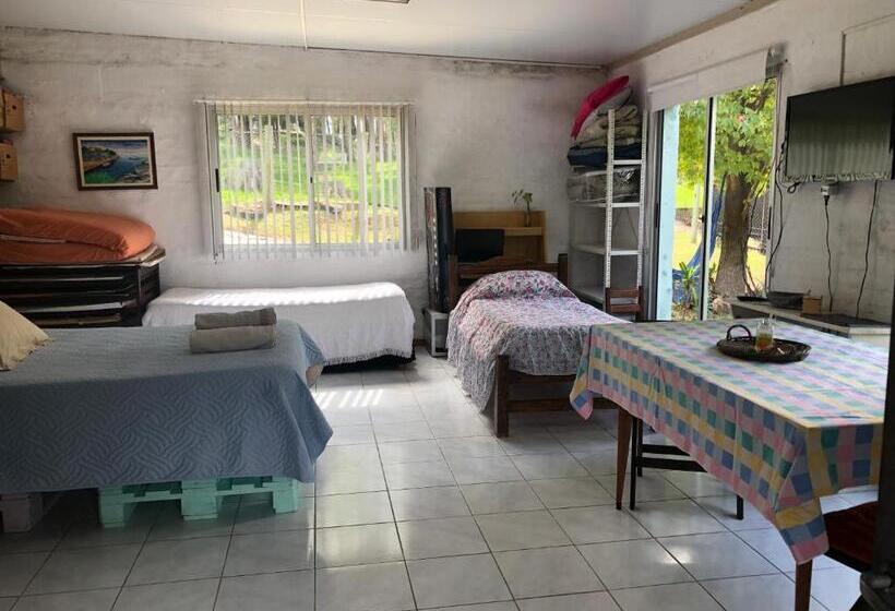 پانسیون Un Lugar Para Compartir