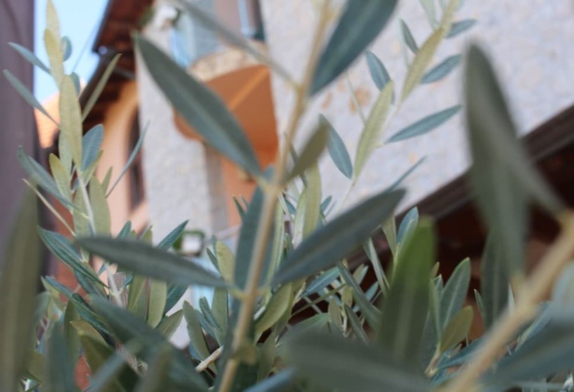 هتل Rambuje Resort