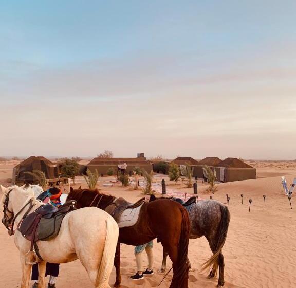 تختخواب و صبحانه Sahara Wellness Camp