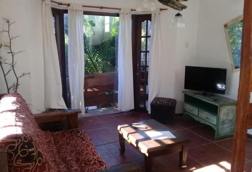 هاستل Costa Palmera