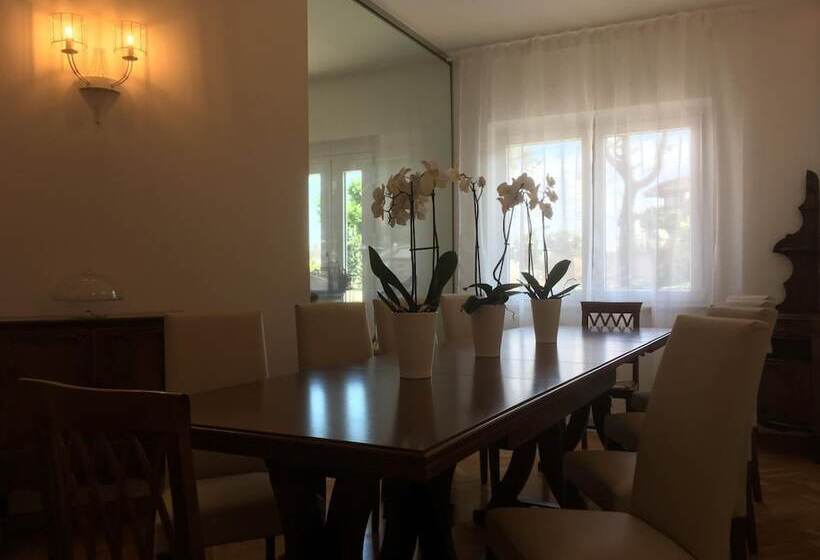 مبيت وإفطار Robin Rooms