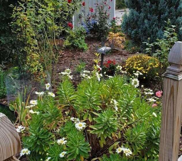 تختخواب و صبحانه Davis Square Inn