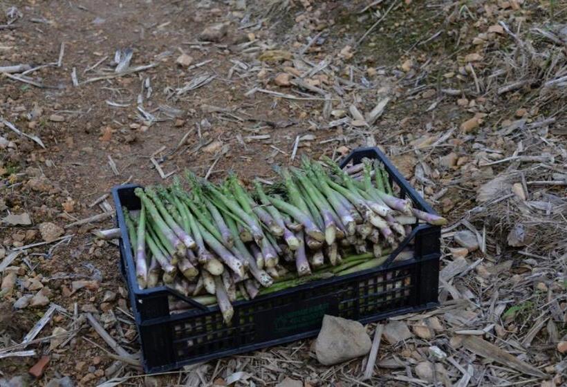 בית מלון כפרי Agriturismo Al Robale