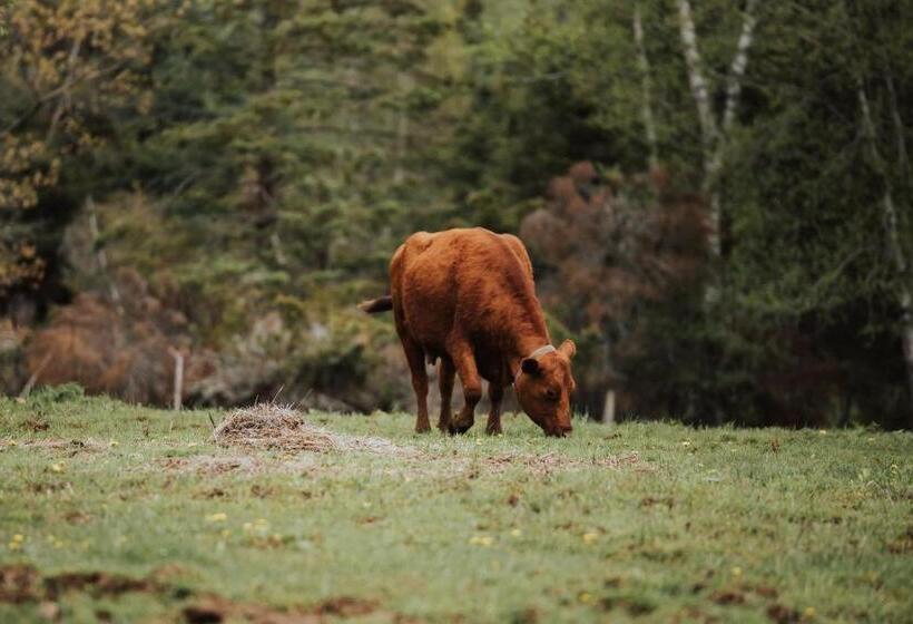 مبيت وإفطار The Kitch Inn   Boutique Inn And Wine Bar