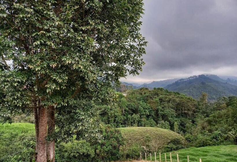 پانسیون Hostal Bamboo