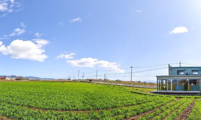 پانسیون Cocoreto The Guesthouse Daikon Island