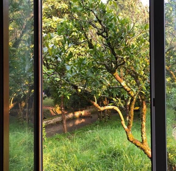 پانسیون V Gostiakh U Maii