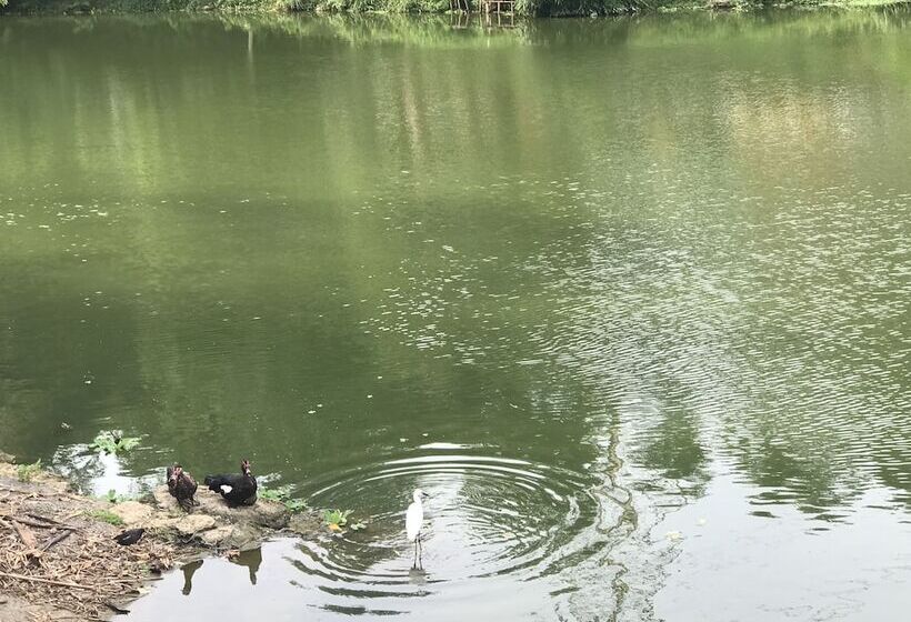 هاستل Gin Lon Lake Motel