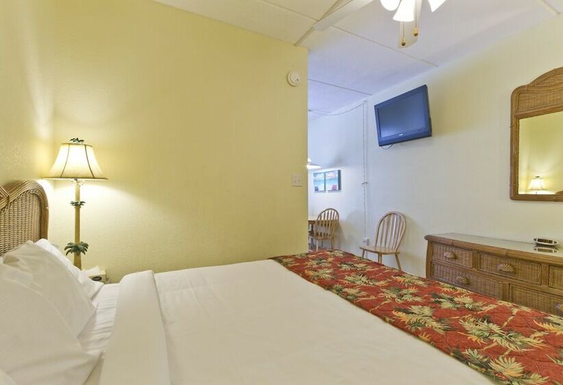 مُتل The Palms Resort