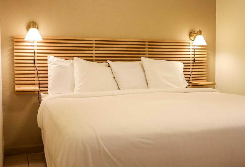 مُتل The Palms Resort