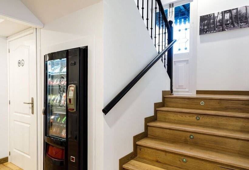 پانسیون Suite Home Pinares