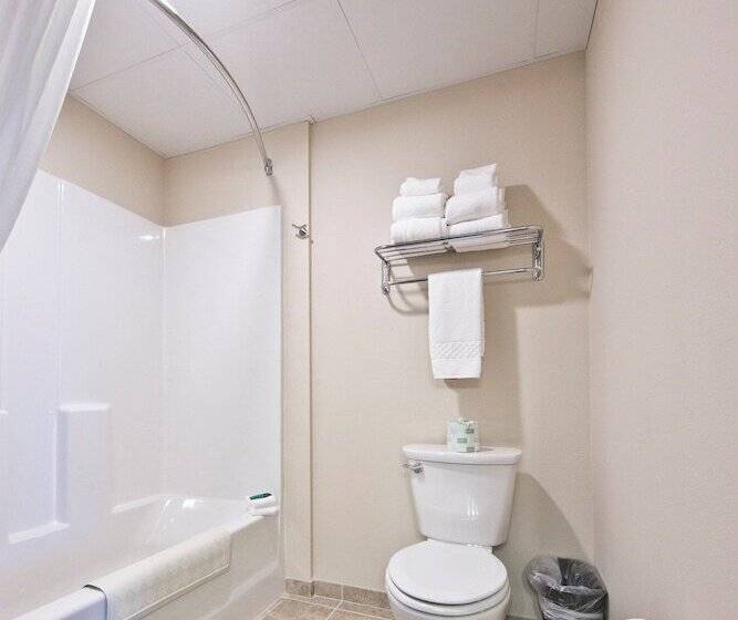 فندق Cobblestone Inn & Suites  Boone