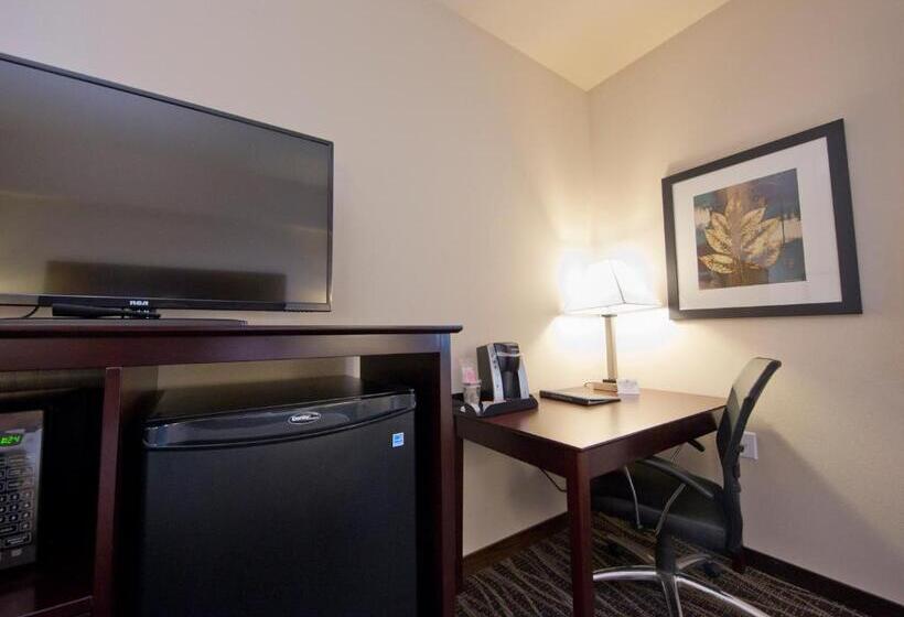 فندق Cobblestone Inn & Suites  Boone
