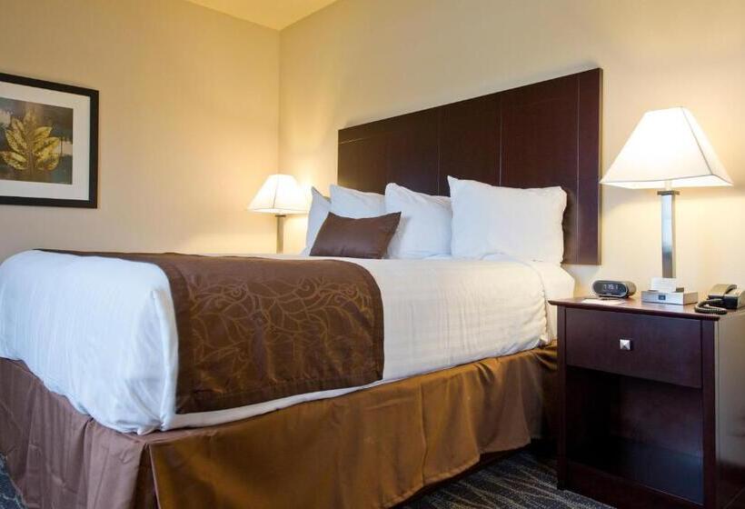 فندق Cobblestone Inn & Suites  Boone