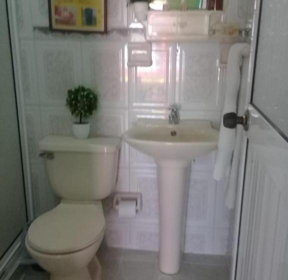 هاستل Posada Nativa Licy