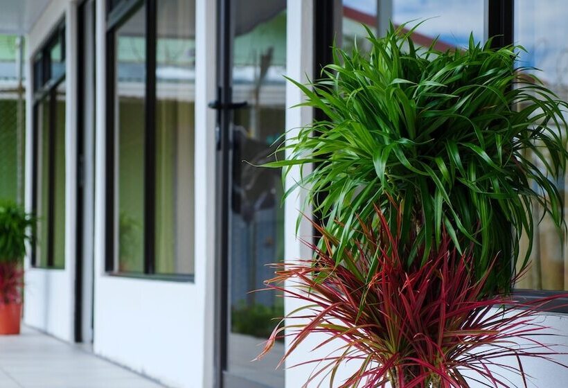 تختخواب و صبحانه Hostel Cattleya   Monteverde, Costa Rica