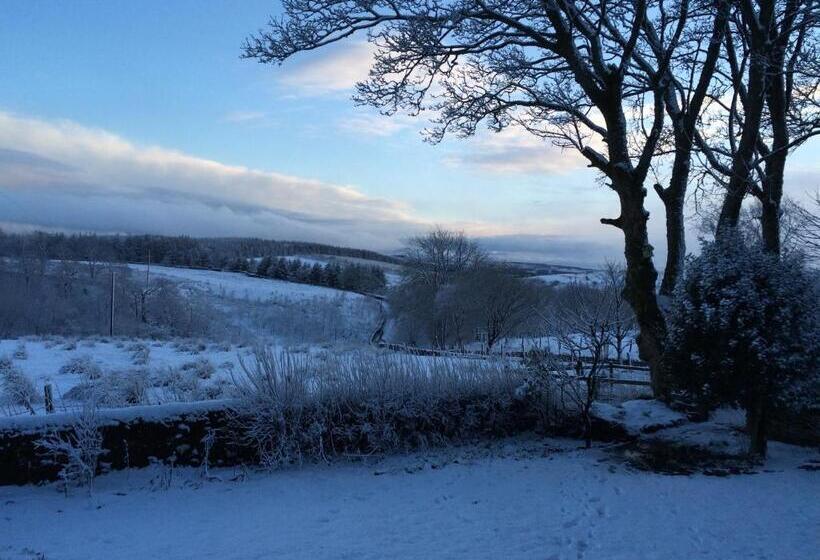 Dale House Barn And B&b