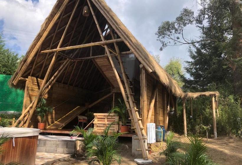 ユースホステル Samay Glamping Airport