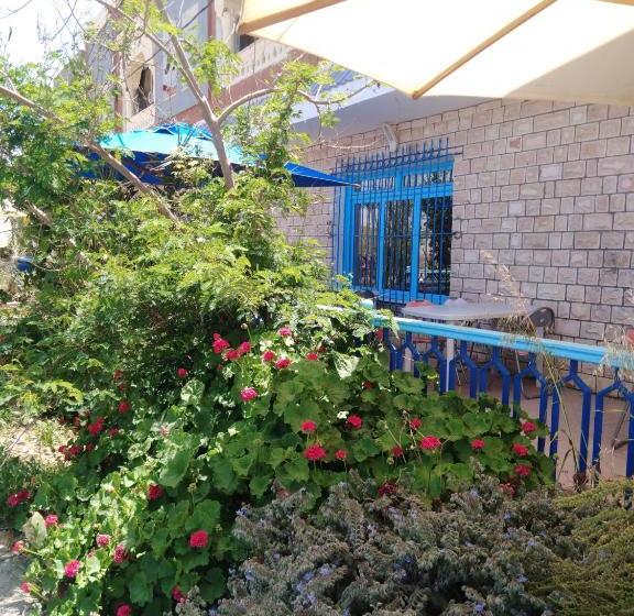 بنسيون L'hirondelle De Kelibia : Chez Amou