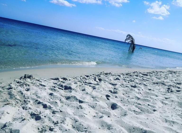 بنسيون L'hirondelle De Kelibia : Chez Amou