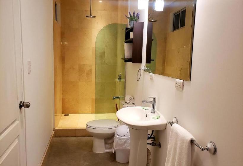 Cando Living Apartments In Central Avenue