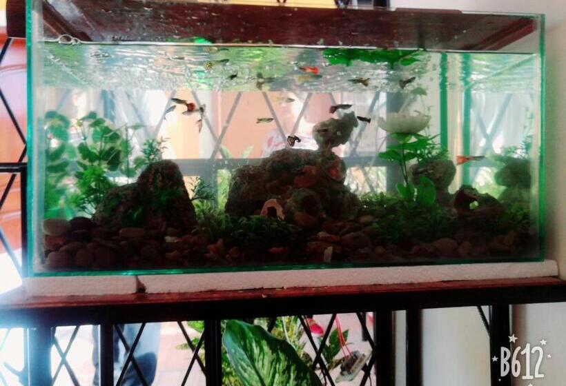 پانسیون Hostal Mariscal Sucre