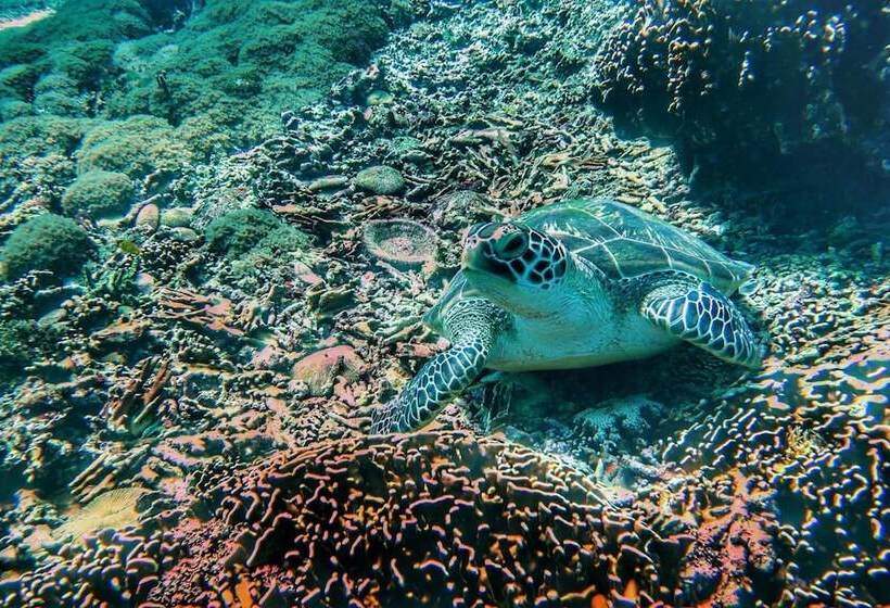 پانسیون Hoomea Private Pool Villas