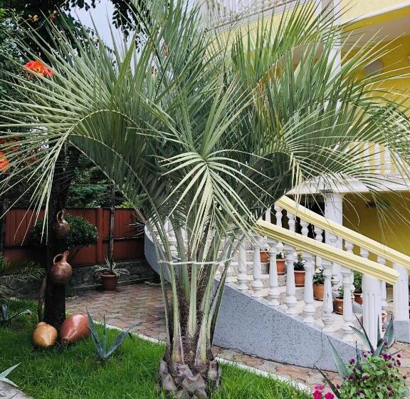 پانسیون George's House