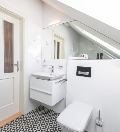 بنسيون Penzion Vila Slavia