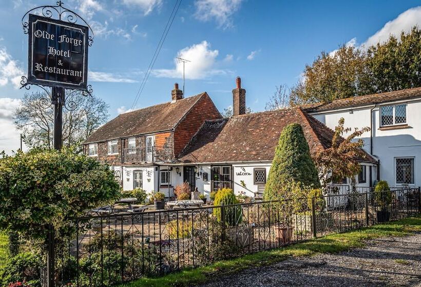 فندق The Olde Forge