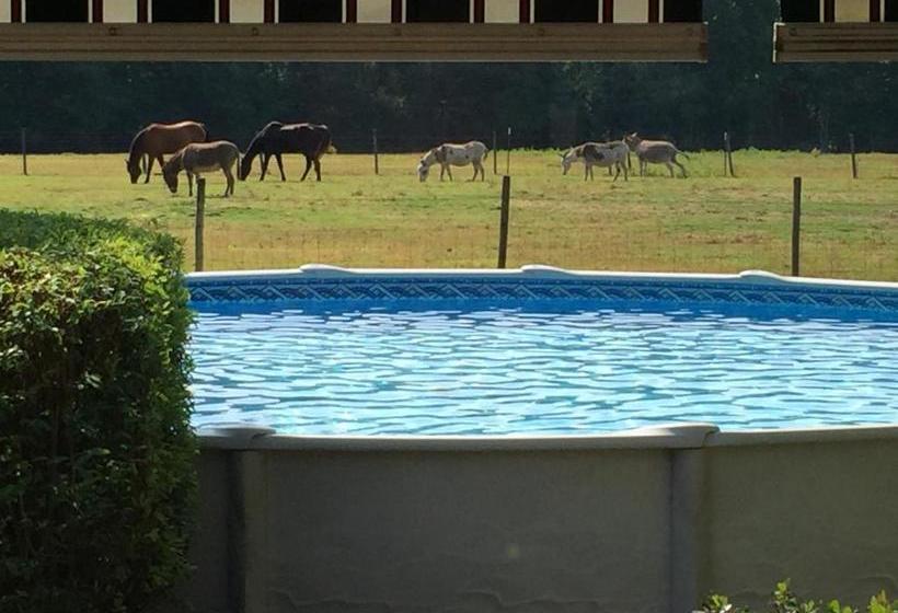 민박 Dublin Farm