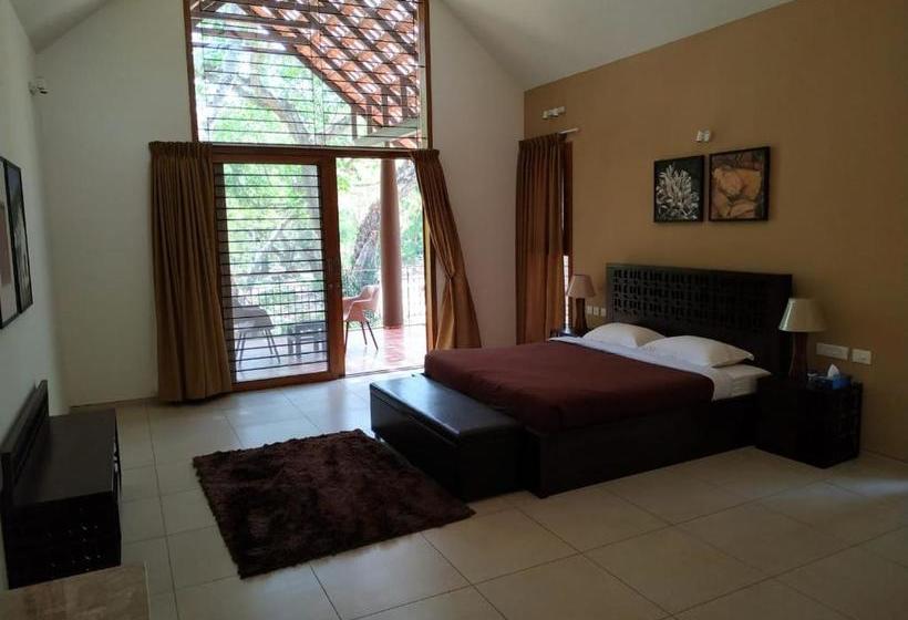 渡假胜地  The Birchwood Retreat, Madikeri