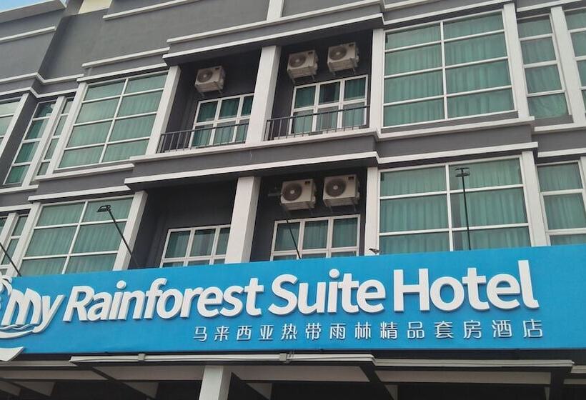 My Rainforest Suite