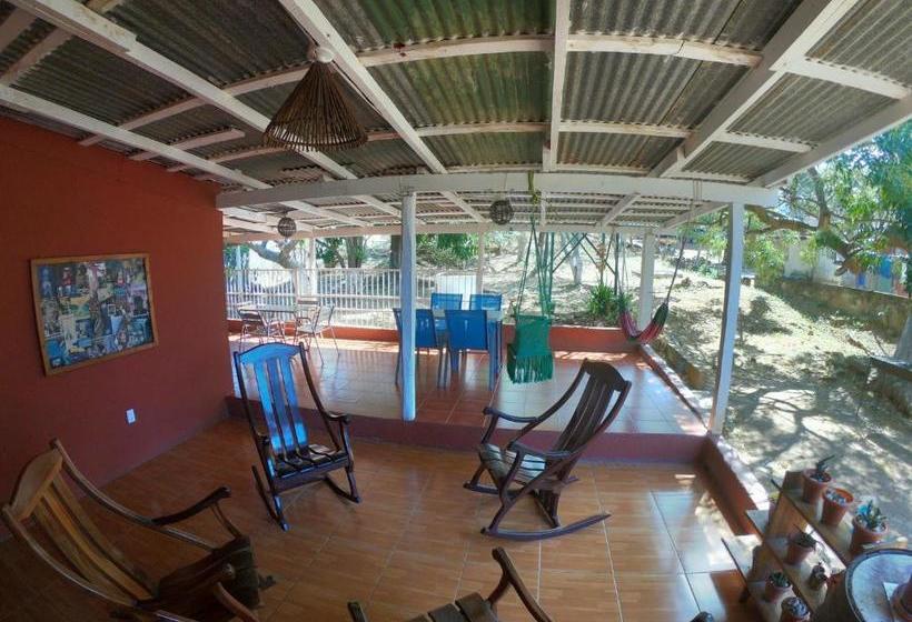 پانسیون Hostal Augustos