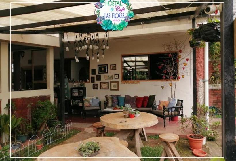 پانسیون Hostal Las Flores Apaneca